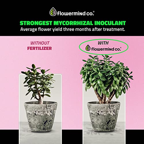 Fertilizante Flowermind Kit Nutrição P 250ml + 32 Gramas