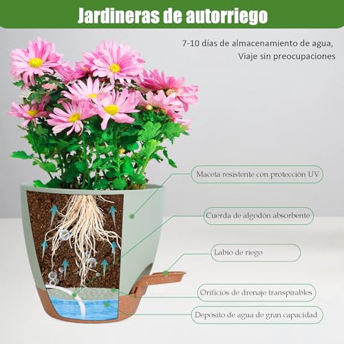 Macetas, Lawn & Patio Imagen adicional