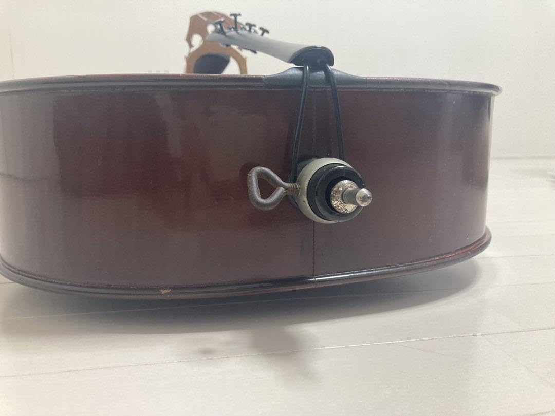 Amazon.co.jp: ドイツ製チェロ Gerhard Reinel 34 ソフトケース