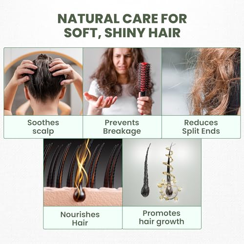 Image of Rey Naturals Hair Oil Combo - Cold Pressed Castor Oil, Virgin & Pure Coconut oil & Sweet Almond Oil For Hair, Skin & Face - 200ml Each | For Hair Growth, Hairfall Control, Eyebrow & Eyelashes