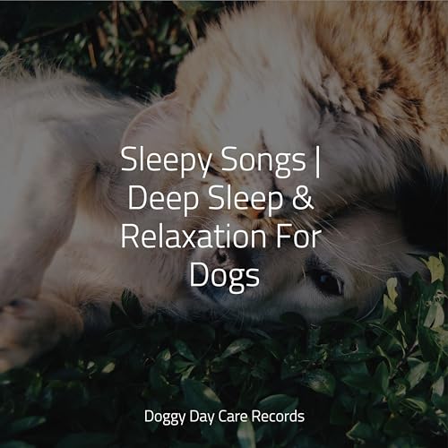 Sleepy Songs Deep Sleep & Relaxation For Dogs by Music For Dogs on