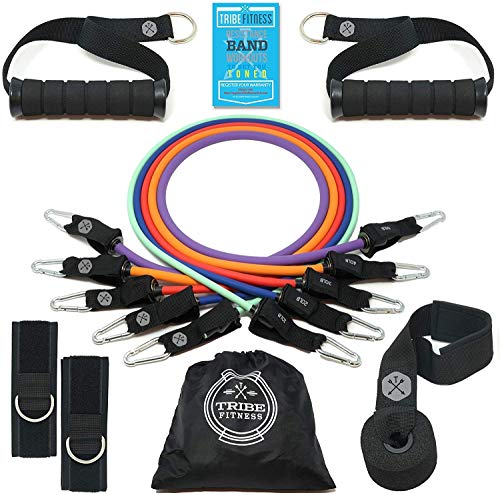 Tribe Resistance Bands Set, Exercise Bands for Working Out - Includes Stackable Workout Bands, Handl - //coolthings.us