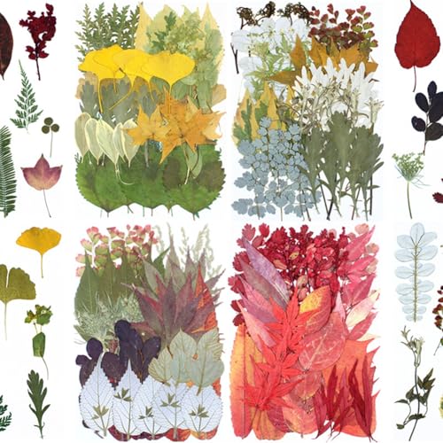 Kit 50 hojas y flores secas prensadas para manualidades miniatura 3