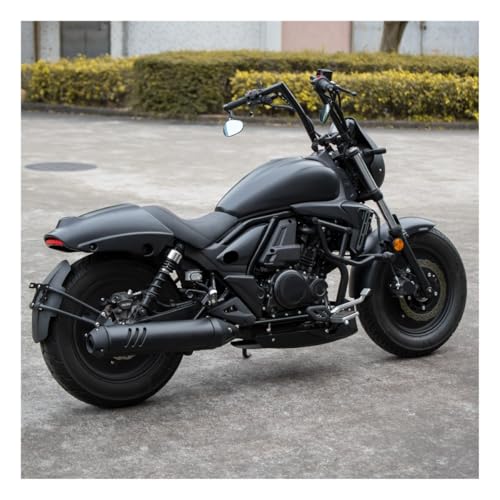 Garde-boue arrière moto Haojue TR300 : coque de protection - 4