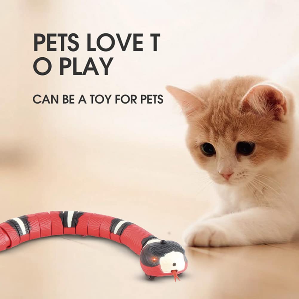 View 6