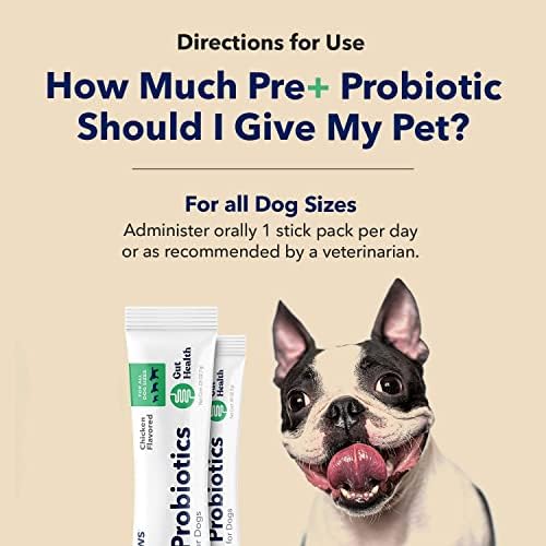 Can I Give Dog Probiotics
