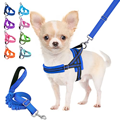Top 10 Best Easy On Dog Harness : Reviews Buying Guide Katynel