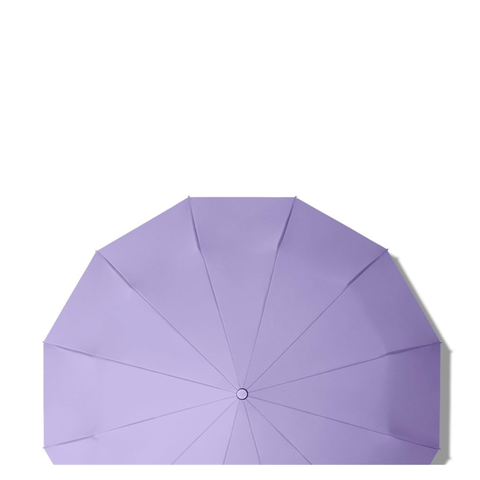RENEESME Umbrellas for Rain 12 Double Bone Automatic Umbrella Parasol Sun Umbrella Strong Umbrella for Wind and Rain(A)