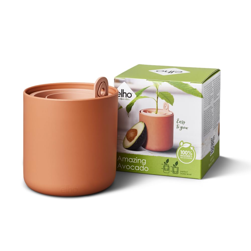 Elho Toffee Terra Amazing Avocado Pot 12 - Grow Your Own Kits For Avocadoplant - 100% Recycled Plastic - Ø 12.0 X H 12.1 Cm - Brown