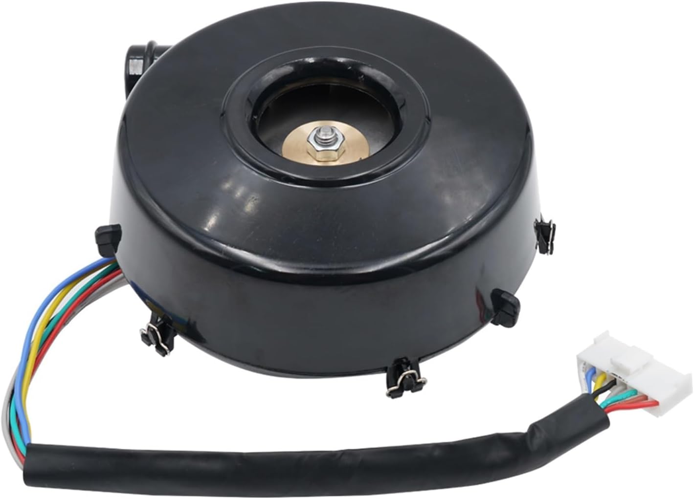 掛け軸 長田青閑 『 鯉 』 絹本 希少 軸装 茶道具 掛軸 美品 です