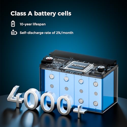 Image of Dyness 12V 100Ah LiFePO4 Lithium Battery BCI Group 31 with Low-Temp Protection, A+ Grade Cell Built-in 100A BMS, 12.8 Volt Lithium Battery Perfect for RV, Solar System, Off-Grid, Home Energy Storage