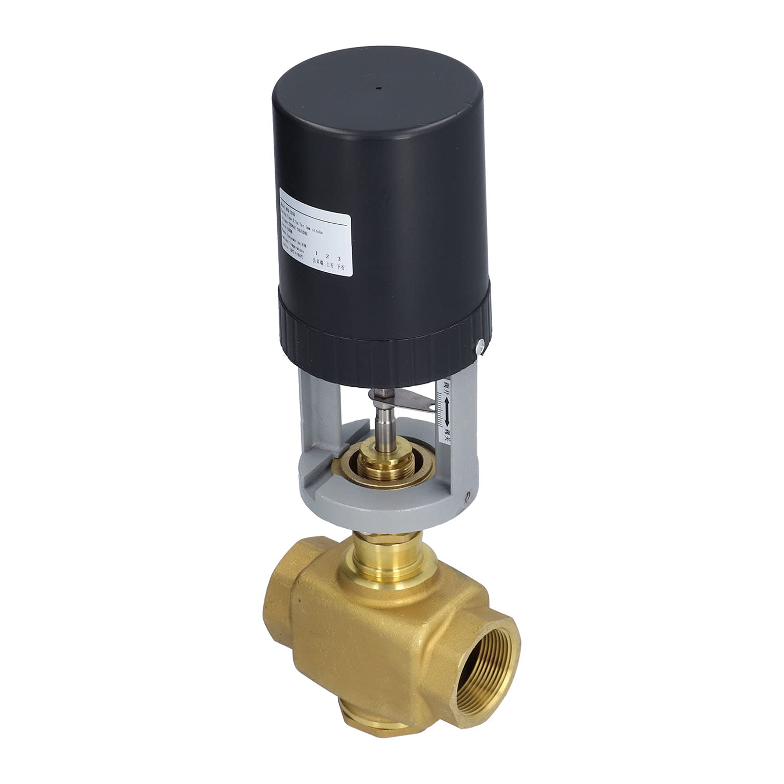 Rengue Válvula Motorizada Eléctrica 2 Vías, Latón BSP 220V CA para