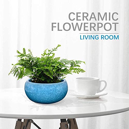 Pot de fleurs hydroponiques en céramique craquelée de 14,6 cm