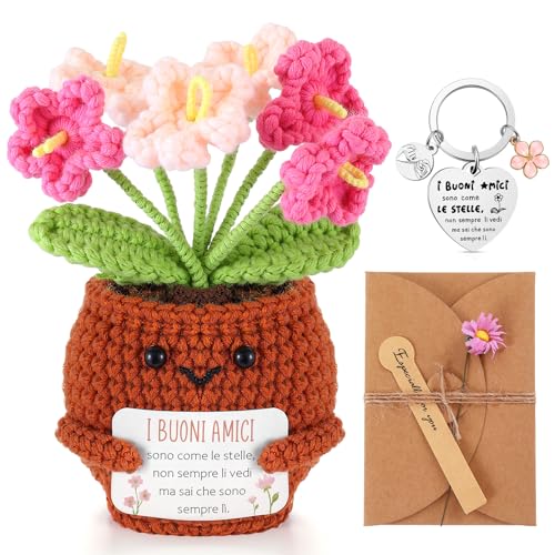 Skylety 3 Regali per Amica Piante in Vaso Lavorate a