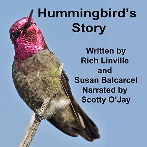Hummingbird's Story by Rich Linville, Susan Balcarcel episode artwork