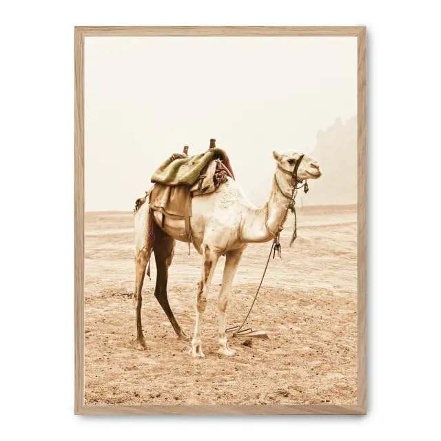 Cuadro camel trip FASE5 tableau sur toile haute définition