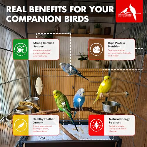 Morning Bird Mountain West Bee Pollen 4.5 oz – Natural Immune Support & Protein Powder for Birds – Boosts Strength, Feather Health & Energy – Easy to Mix with Food for All Bird Types - Image 3