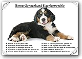 Merchandise for Fans Blechschild/Warnschild/Türschild - Aluminium - 30x40cm Eigentumsrechte Motiv: Berner Sennenhund (01)