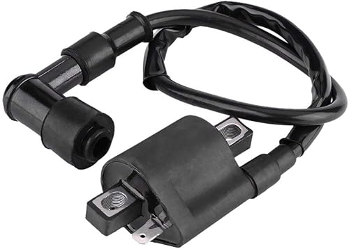 Bobina de encendido para scooter, bobina de encendido modificada de potencia para la mayoría de 150 CC 200 CC 250 CC ATV Scooter Scooter Go-Kart