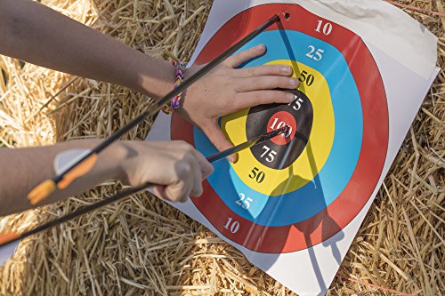 image for Bear Archery Youth Safetyglass Arrows (3 Per Card) , 26-Inch - AS38000