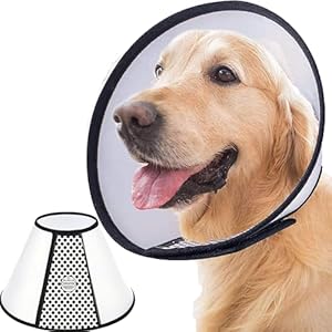 SUQ Collarín para Mascotas, Collar Isabelino Plástico Protector Anti-Mordida Collar Práctico, Cono Mascotas Ajustable Collar de Recuperación para Tamaño Pequeño para Gatos y Cachorro(45-50cm)