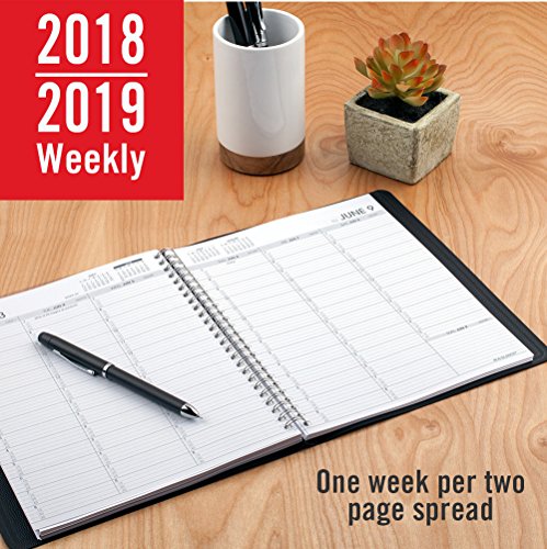 At-A-Glance 2018-2019 Academic Year Weekly Planner / Appointment Book, Large, 8-1/4 X 10-7/8, Black (7095705) #TOP1
