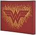 Edge Home Products Wonder Woman Logo Paint Splatter Canvas 16 by 20 2 Inch Depth Size