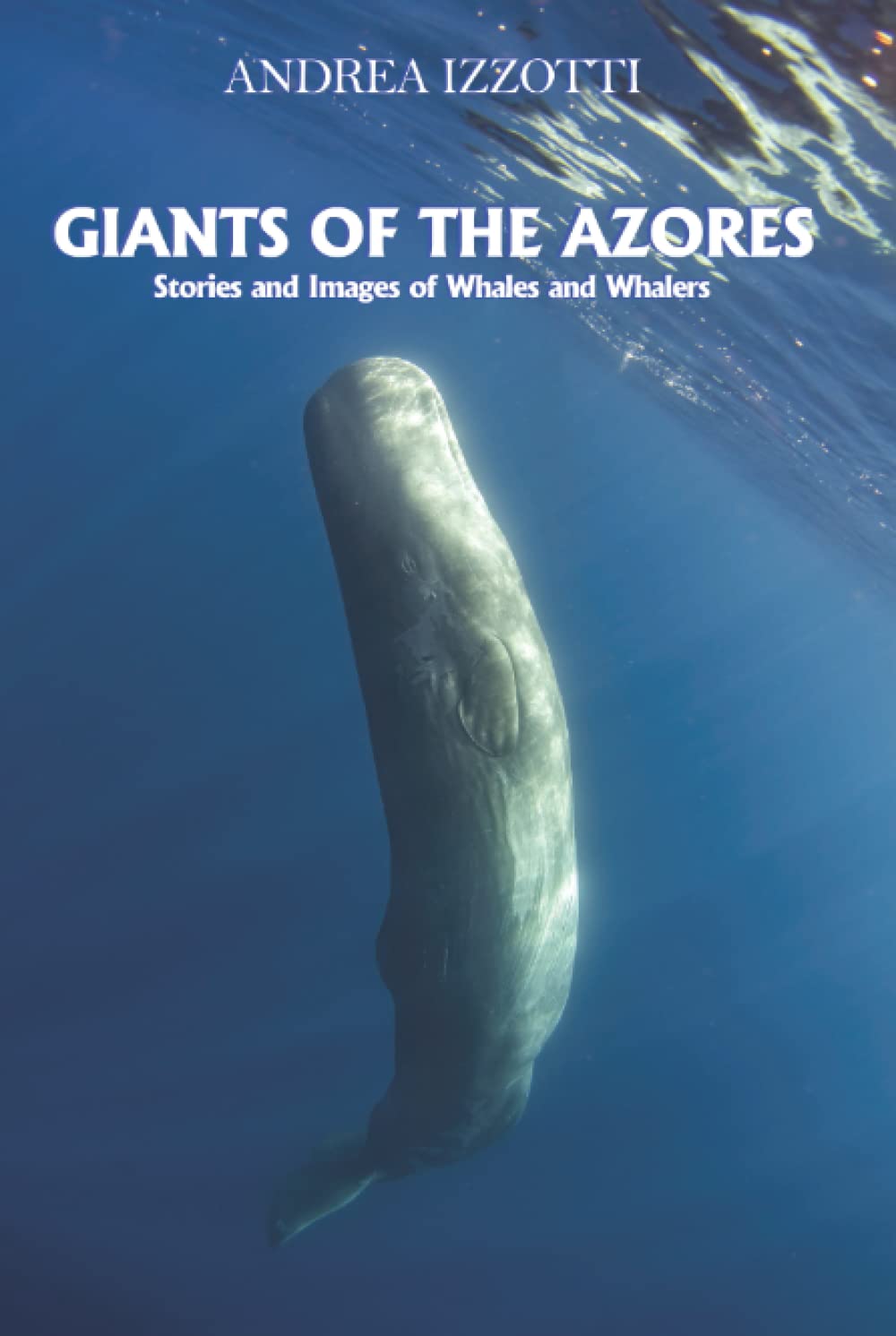 Giants of the Azores: Stories and Images of Whales and Whalers