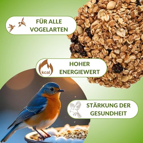 Fettfutter Vogelfutter für Wildvögel – Ganzjähriges Mischfutter mit hohem Fettgehalt, ideales Streufutter für 4 Jahreszeiten (25 kg)