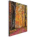 Revolio 40x50 cm Leinwandbild Wandbilder Wohnzimmer Modern Kunstdruck Design Wanddekoration Deko Bild auf Leinwand Bilder 1 Teilig - Natur Herbst Pfad Weg Wald rot orange