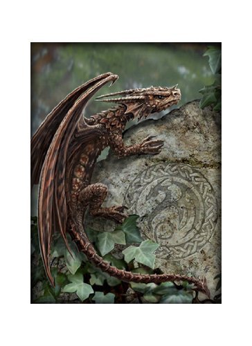 Impression d'art Spiny Woodland Hopper Anne Stokes A4 sur support cartonné A3