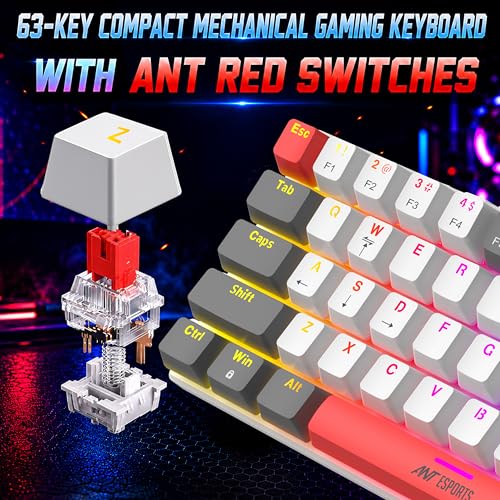 Image of Ant Esports MK1200 V2 Mini 60% Mechanical Gaming Keyboard with Red Switches| 63-Key Compact Wired Keyboard |Rainbow RGB Backlit |26-Key Anti-Ghosting|Double-Shot Keycaps|USB for PC & Laptop