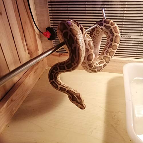 Yardwe Stainless Steel Extensible Snake Hook Retractable Reptile Hook For Catching Handling Small Snake(68Cm) #TOP1