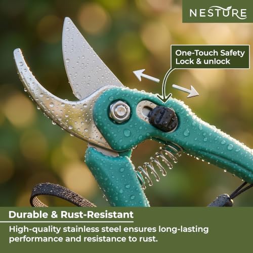 Image of Plant Cutter for Garden Heavy Duty | Garden Scissors & Pruners for Plants | Branch Cutter for Home Gardening (Green)
