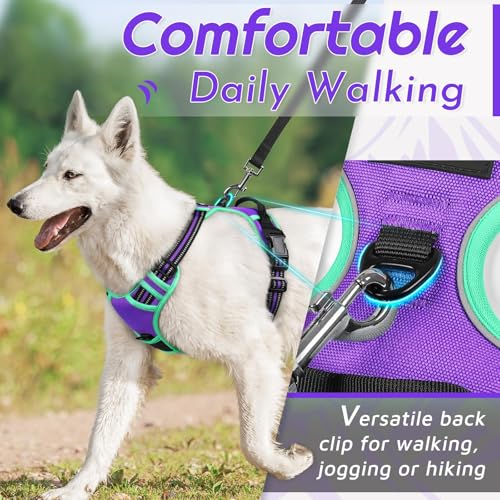 Image of Eagloo Dog Harness for Large Dogs, No Pull Pet Vest with 2 Leash Clips