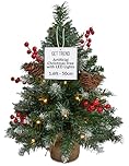 Get Trend Christmas Tree, 1.67ft Pre-lit Mini Artificial Tree with LED White String Lights Frosted Tips, Tabletop Xmax Gifts (Green)