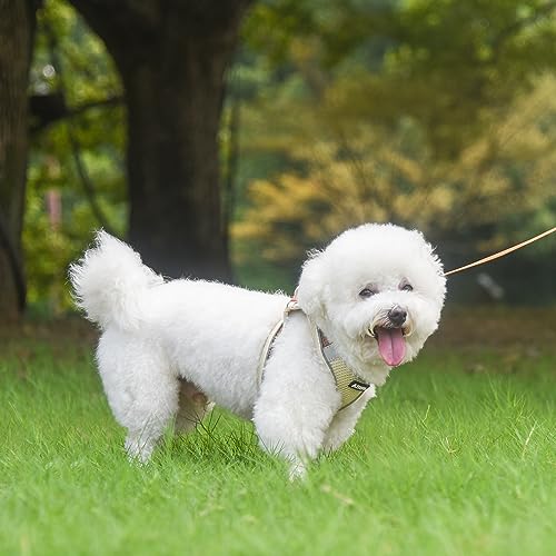 Image of AIITLE Step in Dog Harness and Leash Set - Summer No Pull Escape Proof Vest Harnesses with Soft Mesh and Reflective Bands, Adjustable Pet Outdoor Harnesses for Small and Medium Dogs Beige M