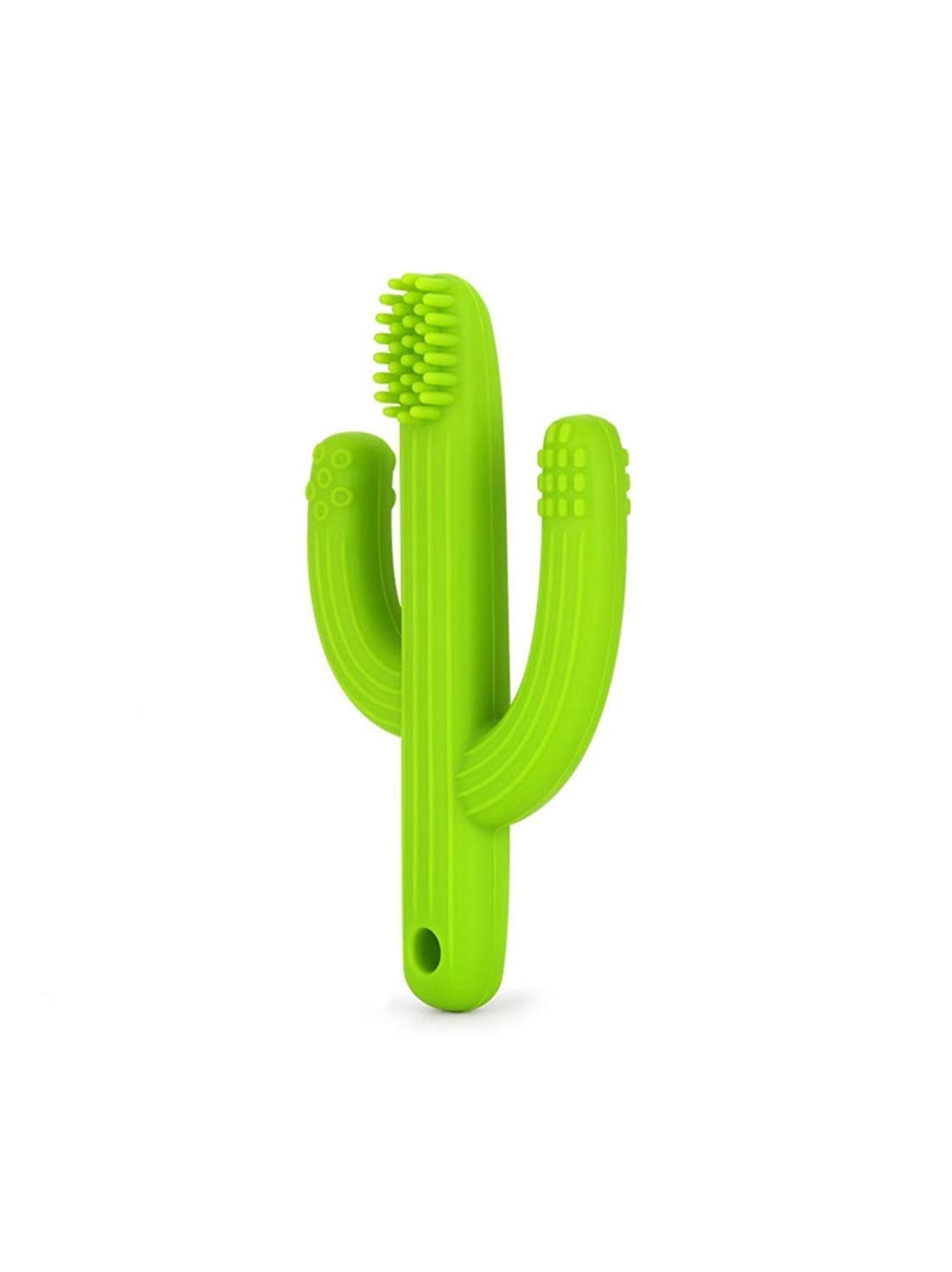 Happy Tears BPA-free Teething Training Cactus Shape Teether Toy for Infants and Babies (Random Colour)