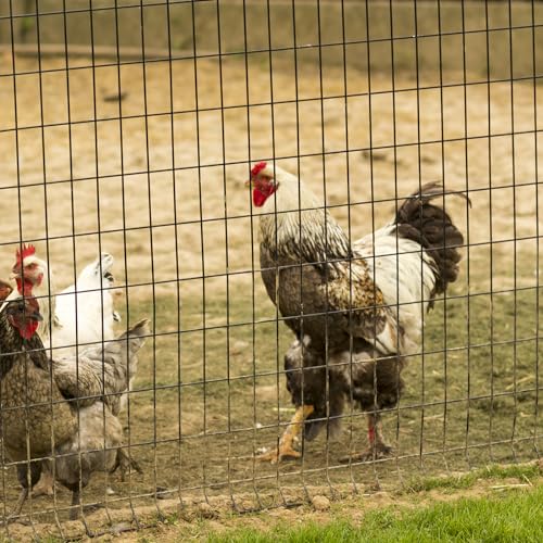 Clôture en maille trempée à chaud pour stopper les intrusions - 8