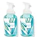 Bath & Body Works Gentle Foaming Hand Soap Beautiful Day (2 Pack)