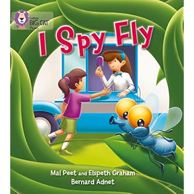 I Spy Fly: Band 03/Yellow