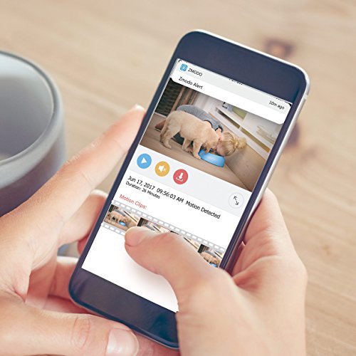 Zmodo Mini Wifi 720P Hd Wireless Indoor Home Video Security Camera Two-Way Audio #TOP4