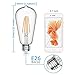 LED Edison Bulb Dimmable 6W Vintage Led Light Bulb 60W Equivalent 2200K Warm White 520 Lumen ST64 Led Filament Bulb E26 Medium Base Decorative Clear Glass for Bathroom Kitchen Dining Room, 4 Pack