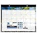 AT-A-GLANCE Desk Pad Calendar 2017, Monthly, 21-3/4 x 17", Tropical Escape (DMDTE2-32)