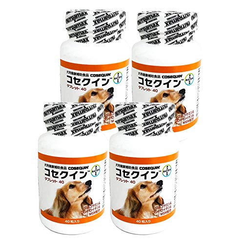 コセクイン タブレット 40粒入り