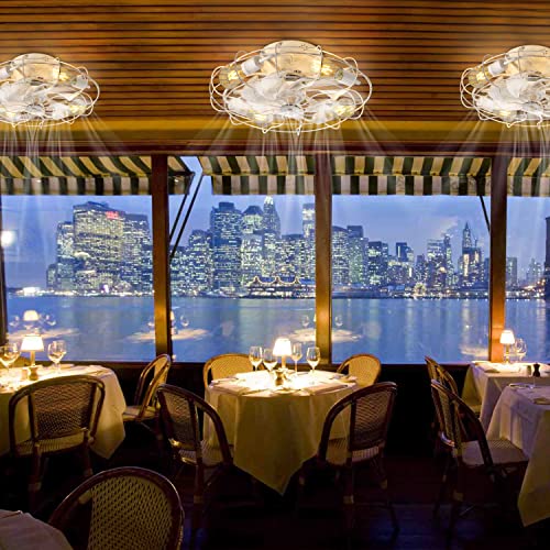 Small Rustic Rust Beige Caged Ceiling Fan With Lights And Remote , 7 Retro Wood Abs Blades, 5 E26 Warm Bulbs Included, Indoor Multi-Speed Reversible 20" Low Profile Enclosed Mid-Century Fan Light #TOP4