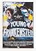 Young Frankenstein Movie Poster Fridge Magnet (2 x 3 inches)