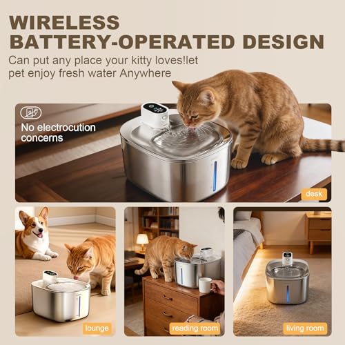 Automatic Pet Feeder