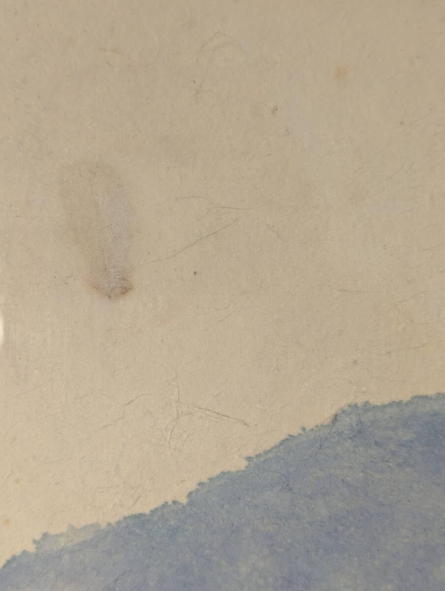 Amazon.co.jp: 真作絵画 後藤純男 水彩12号 法隆寺 優雅な古都の風景