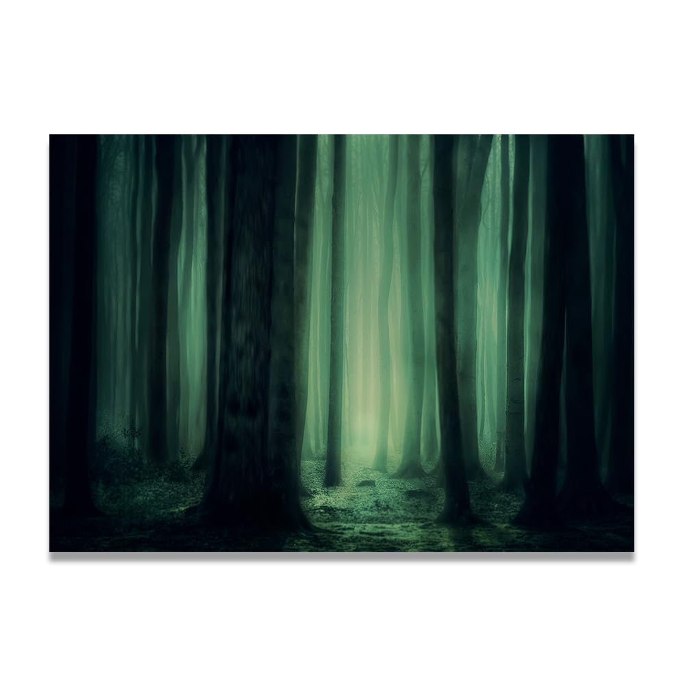 VHdfgTY I Don'T Understand ItNature Landscape Wall Art Canvas Mountain Scenery Print Home Decoration 50x70cm Unframed
